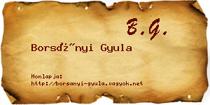 Borsányi Gyula névjegykártya